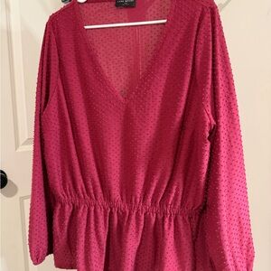 Lane Bryant Classic Long-Sleeve V-Neck Clip Dot Babydoll Top Sz 18/20
